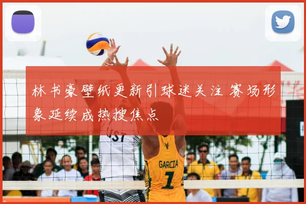 林书豪壁纸更新引球迷关注 赛场形象延续成热搜焦点