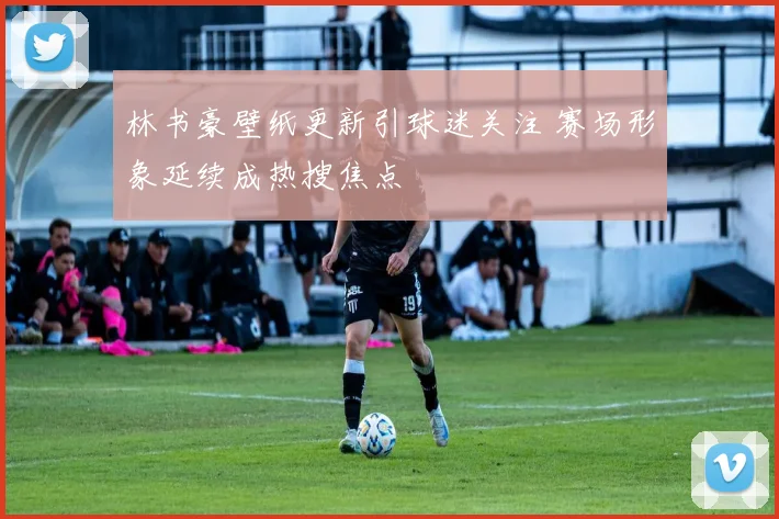 林书豪壁纸更新引球迷关注 赛场形象延续成热搜焦点