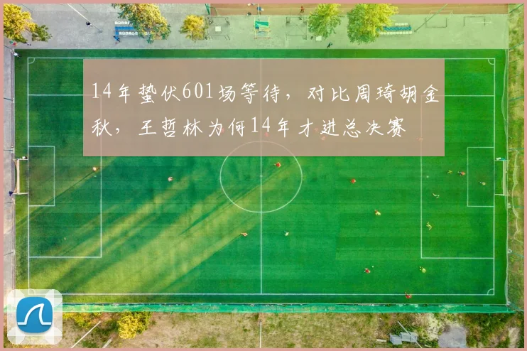 14年蛰伏601场等待，对比周琦胡金秋，王哲林为何14年才进总决赛