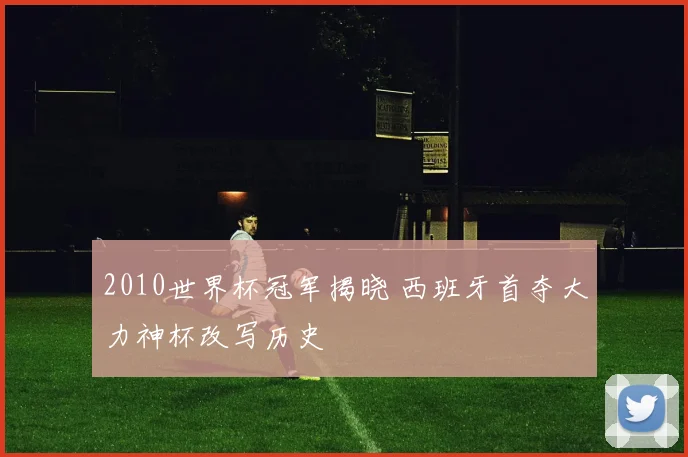 2010世界杯冠军揭晓 西班牙首夺大力神杯改写历史